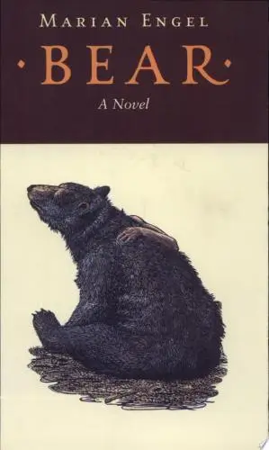 Bear Book Summary